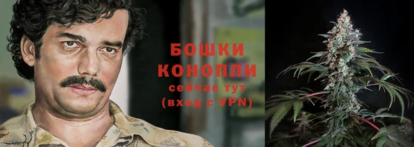 гидропоника Коряжма