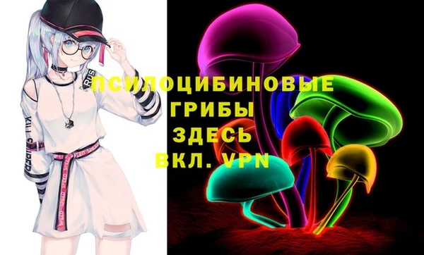 гидропоника Коряжма